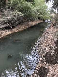 2018-02-25 15.23.55_R.jpg