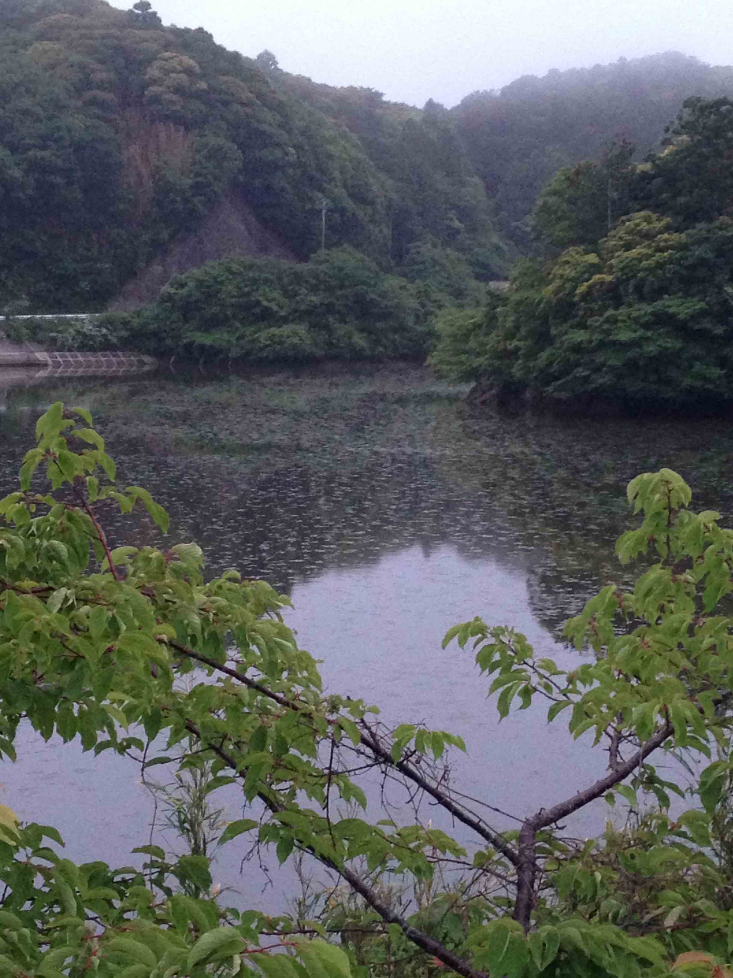 13年5月22日 千葉県 野池 リザーバー ブラックバス釣行 野池 川のバス釣り 中年アングラーが行く