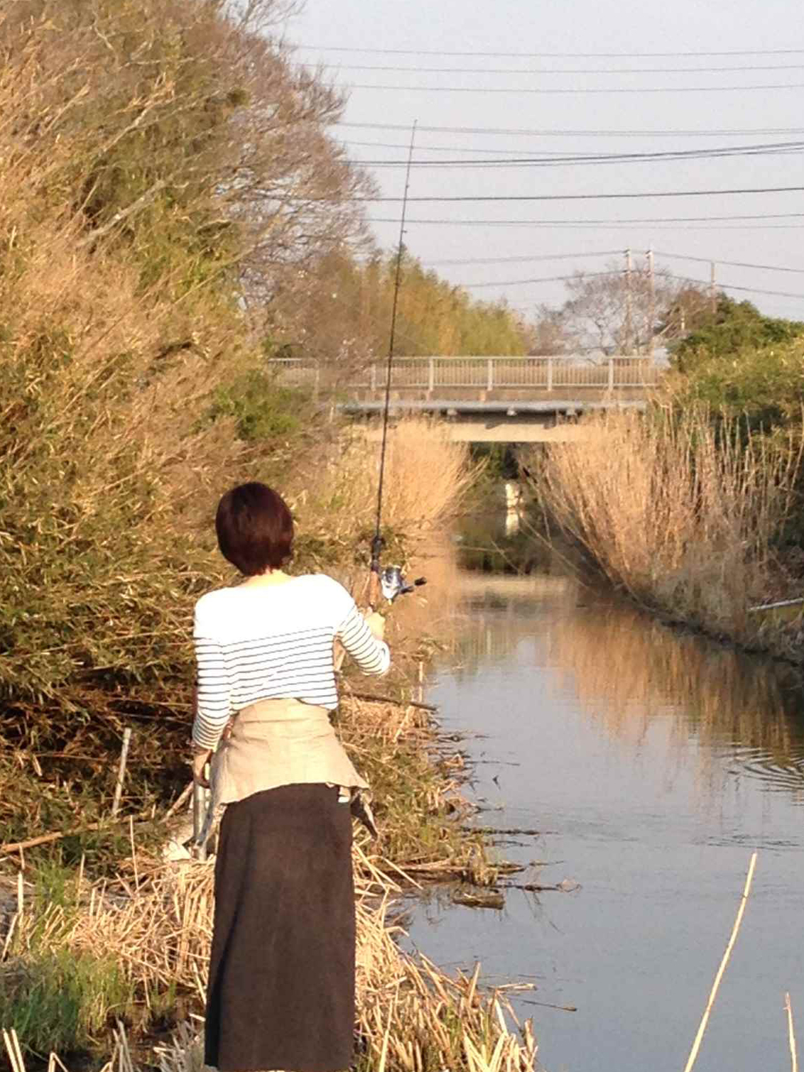 最高のバス 釣り スピニング ロッド おすすめ すべての魚の画像