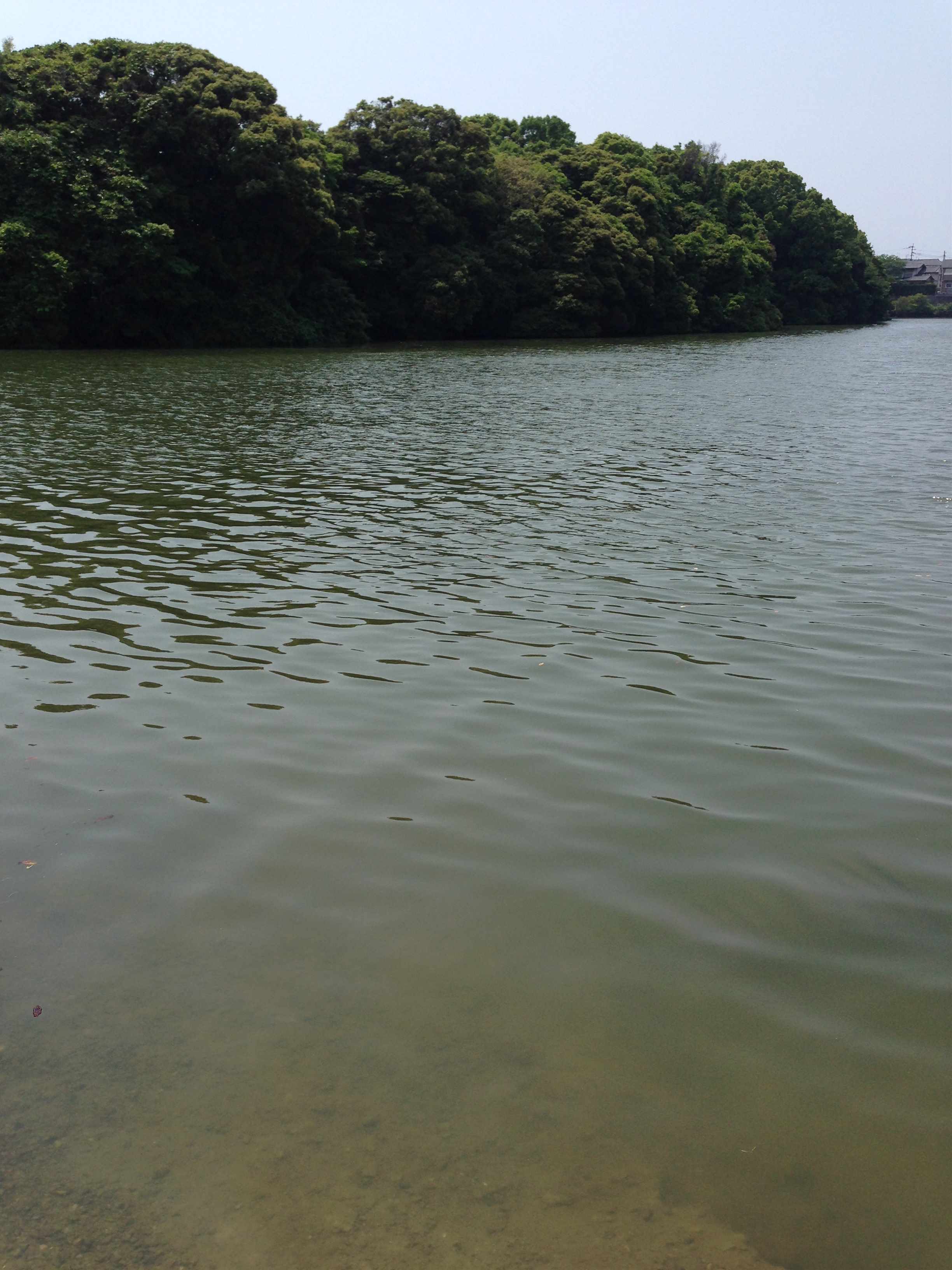 14年5月15日 16日 福岡県 佐賀県 ブラックバス 釣り 野池 川のバス釣り 中年アングラーが行く