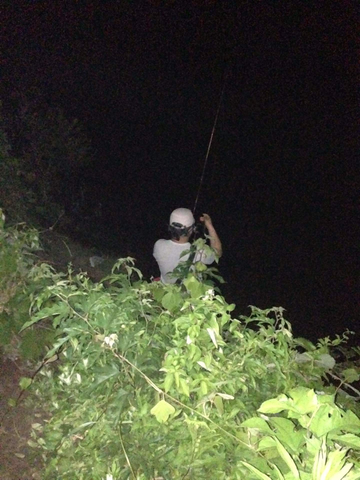15年6月14日 日 千葉県 リザーバー 野池 夜釣り ブラックバス釣り 野池 川のバス釣り 中年アングラーが行く