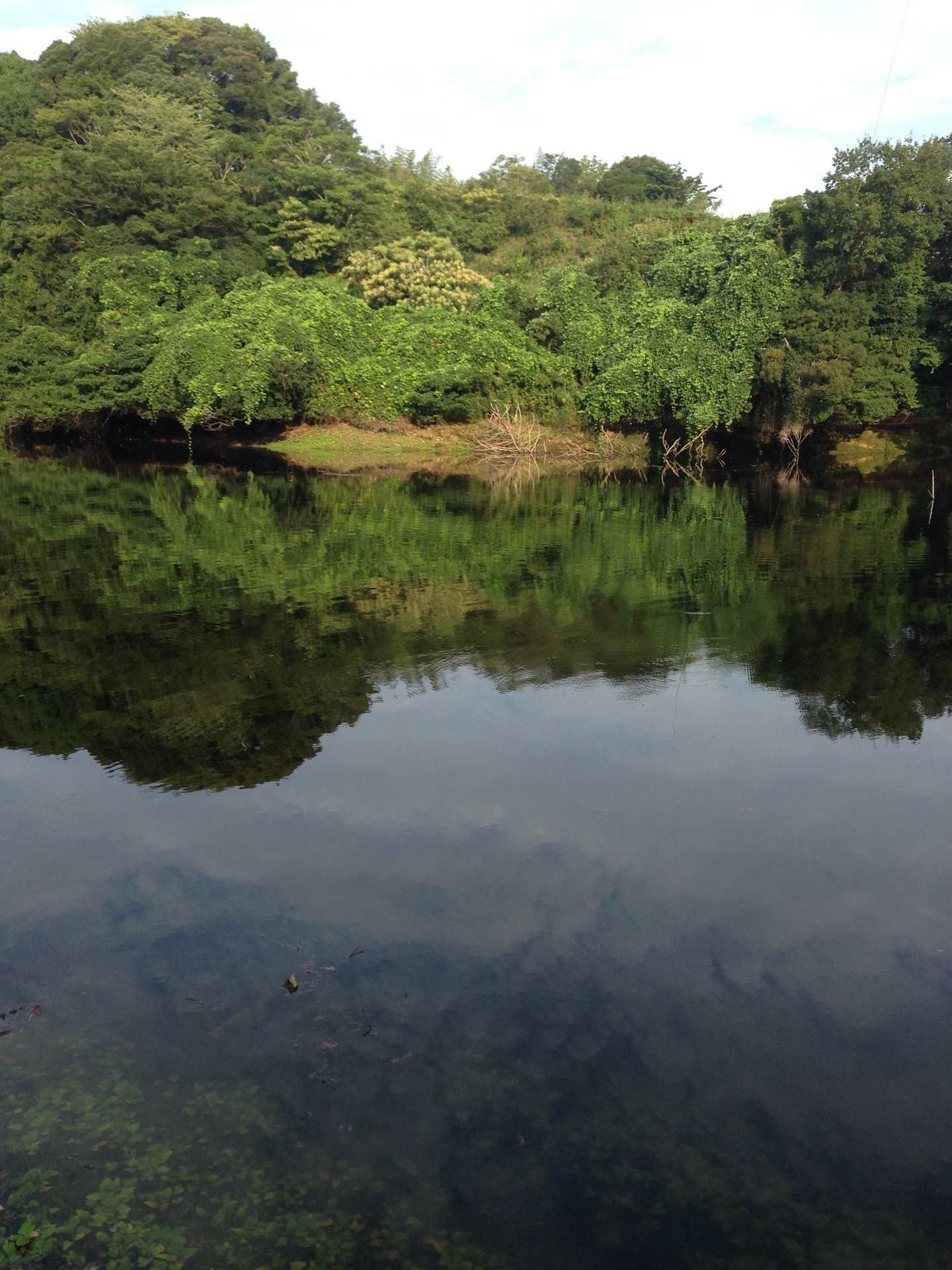 15年9月6日 千葉県 野池 リザーバー ブラックバス 釣り 野池 川のバス釣り 中年アングラーが行く