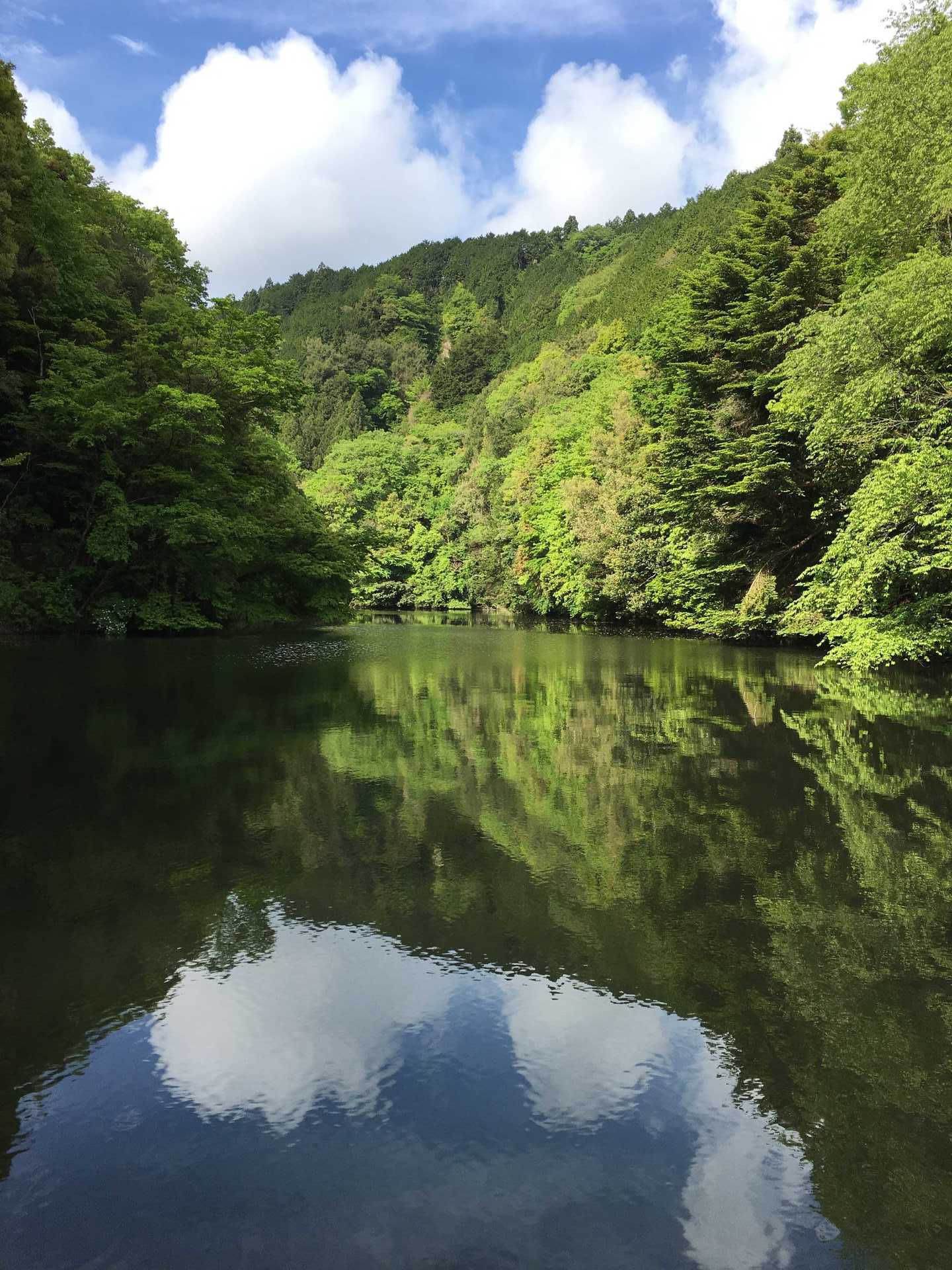 17年5月5日 金 千葉県 リザーバー ボート ブラックバス 釣り 野池 川のバス釣り 中年アングラーが行く