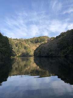 2019-04-05 06.34.22_R.jpg