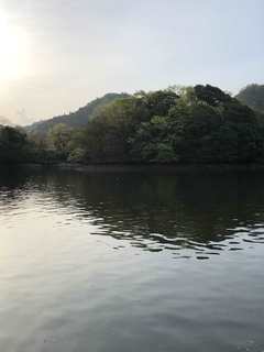 2019-04-21 05.55.12_R.jpg