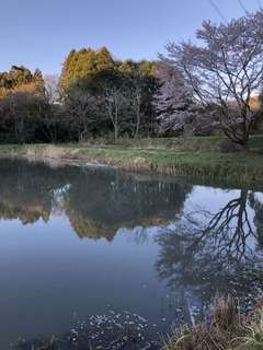 IMG_0935_R.JPG