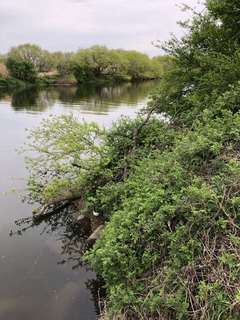 IMG_0941_R.JPG