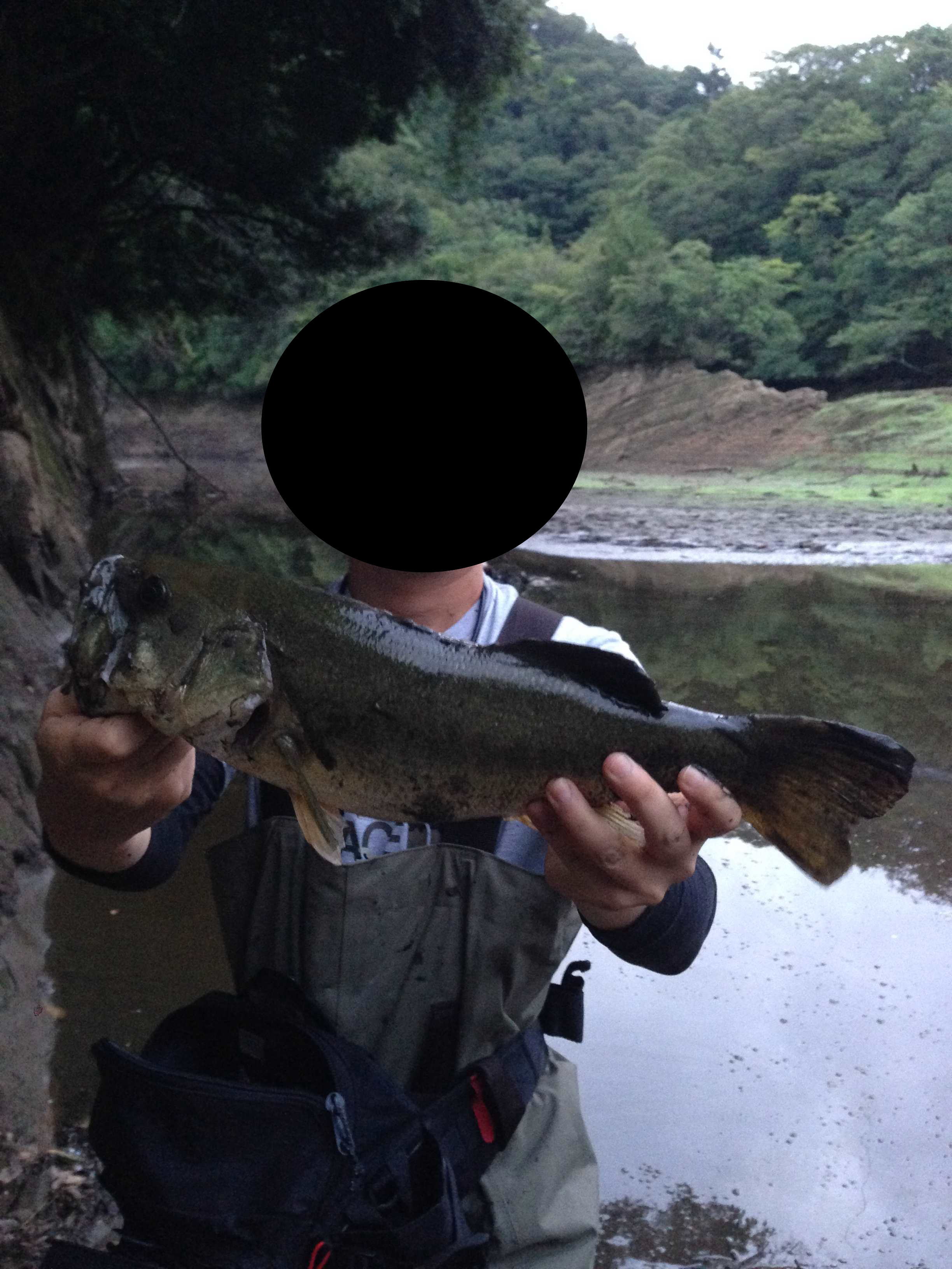 14年9月3日 水 千葉県 野池 リザーバー ブラックバス 釣り 野池 川のバス釣り 中年アングラーが行く